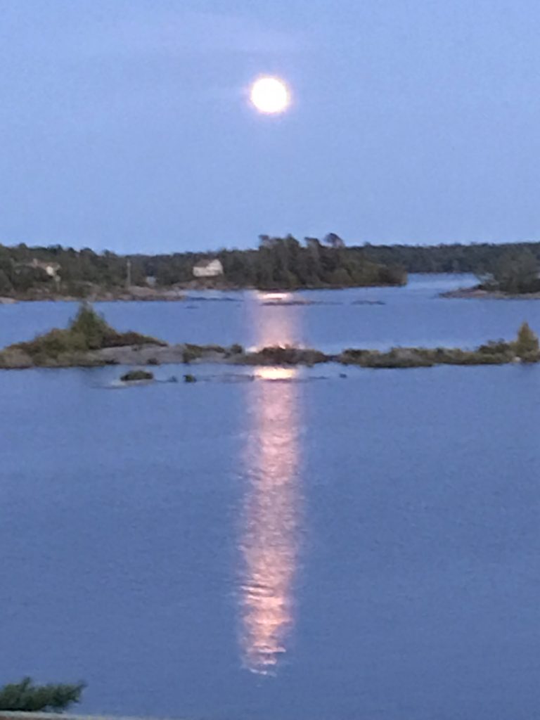 Moonlight over the lake